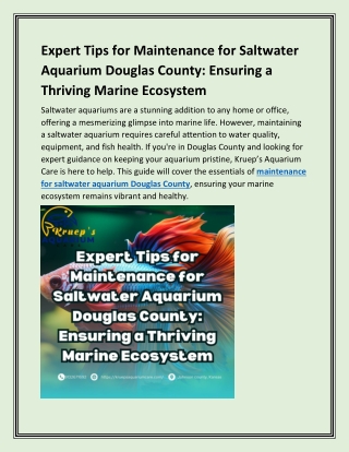 Expert Tips for Maintenance for Saltwater Aquarium Douglas County Ensuring a Thriving Marine Ecosystem