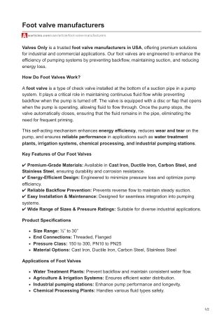 Foot valve manufacturers