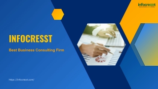 Infocresst: Expert Business Consulting & Financial Modeling