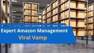 Expert Amazon Management  By Viral Vamp