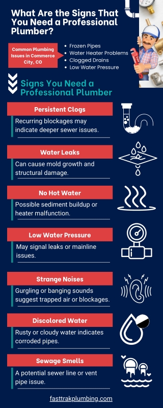 What Are the Signs That You Need a Professional Plumber