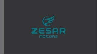Zesar Motors Feb 2025