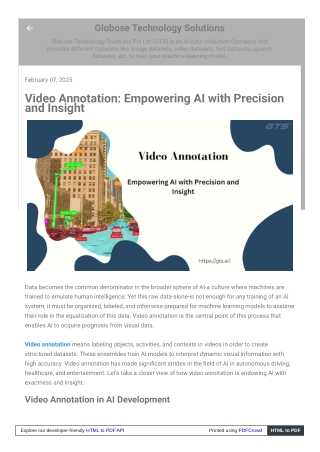 Video Annotation, Empowering AI with Precision and Insight