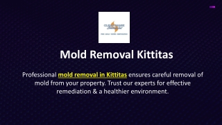 Mold Removal Kittitas
