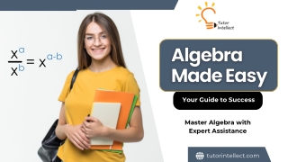 Master Algebra with Our Comprehensive Assignment Help Guide!