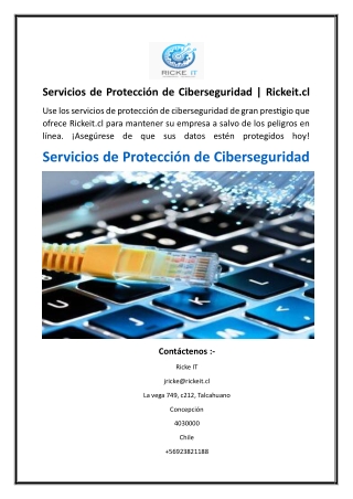 Servicios de Protección de Ciberseguridad  Rickeit.cl