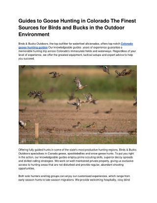 Guides to Goose Hunting in Colorado The Finest Sources for Birds and Bucks in the Outdoor Environment