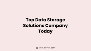 Top Data Storage Solutions Company Today