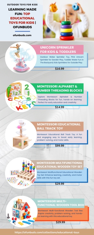 Learning Made Fun Top Educational Toys for Kids  OFunBuds