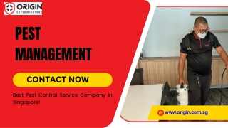 Pest Control Services by ORIGIN Exterminators in Singapore