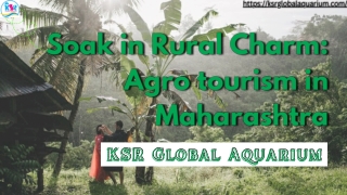 Soak in Rural Charm: Agro tourism in Maharashtra