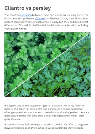 Portfolio for pdf submission !!!!