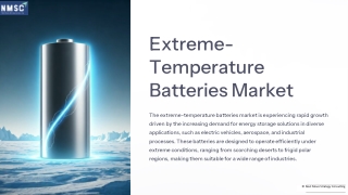 Extreme Temperature Batteries Market Trends and Future Analysis