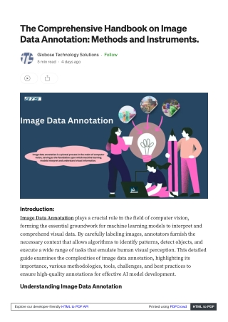 The Comprehensive Handbook on Image Data Annotation: Methods and Instruments.