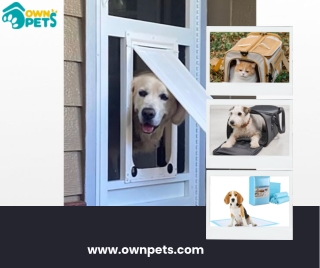 Small Dog Carrier: Safe and Comfortable Travel for Your Pet