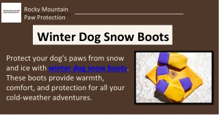 Winter Dog Snow Boots