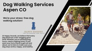 Dog Walking Services Aspen CO