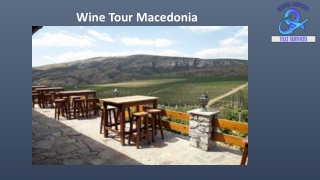 Wine Tour Macedonia