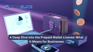 A Deep Dive into the Prepaid Wallet License: What It Means for Businesses