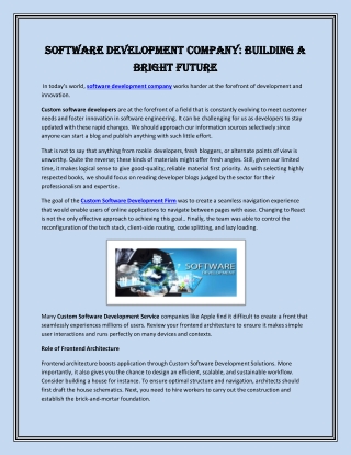 Software Development Company Building a Bright Future
