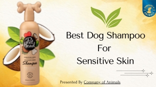 Best Dog Shampoo for Sensitive Skin: Gentle, Vet-Approved Options