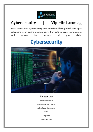 Cybersecurity  Viperlink.com.sg