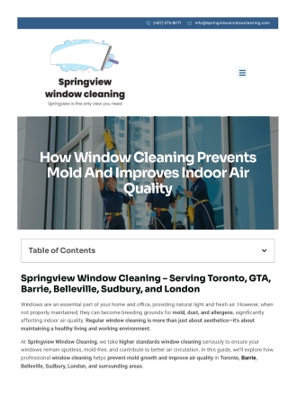 How Window Cleaning Prevents Mold and Improves Indoor Air Quality