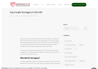 Gay Couple Surrogacy in the USA - Medipocket Surrogacy USA