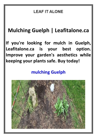 Mulching Guelph Leafitalone.ca