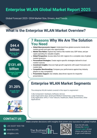 Enterprise WLAN Market Report 2025- Enterprise WLAN Market Growth Analysis