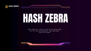 "Achieve Optimal Crypto Mining Performance with Antminer Solutions at HashZebra.