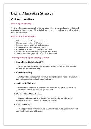 Digital Marketing Strategy , Zest Web Solutions