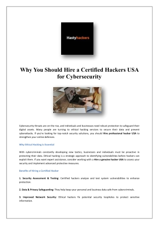 Ethical Hackers For Hire USA | Hastyhackers