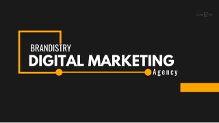Leading Digital Marketing Agency in India |Brandistry