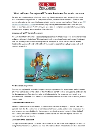 What to Expect During an ATT Termite Treatment Service in Lucknow