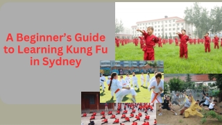 A Beginner’s Guide to Learning Kung Fu in Sydney