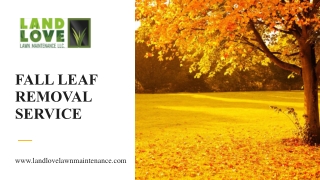 Expert Lawn Care & Fall Leaf Removal Service