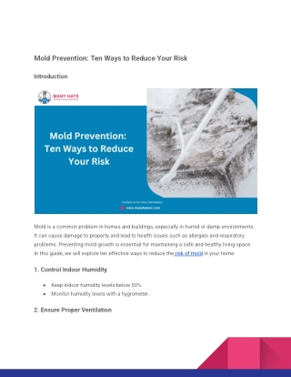 _Mold Prevention_ Ten Ways to Reduce Your Risk