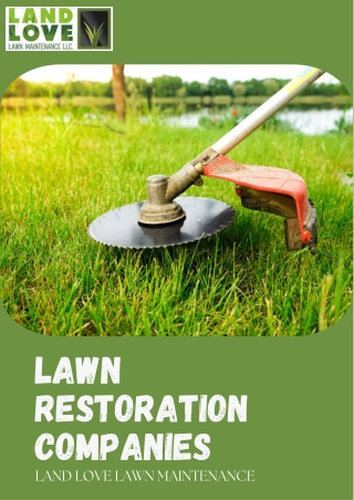 Premier Lawn Restoration Company in Brockton, MA
