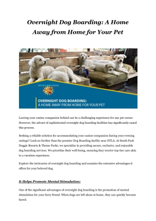 Overnight Dog Boarding_ A Home Away from Home for Your Pet