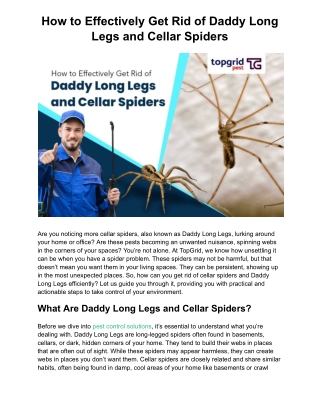 How to Effectively Get Rid of Daddy Long Legs and Cellar Spiders