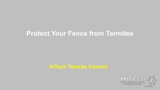 Protect Your Fence from Termites