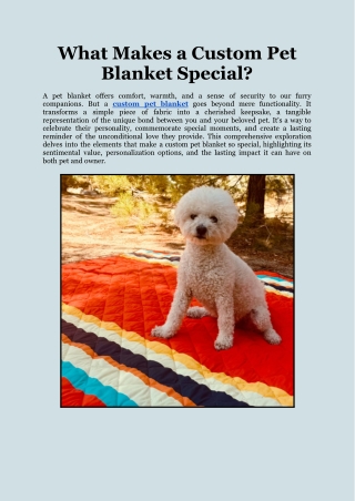 What Makes a Custom Pet Blanket Special