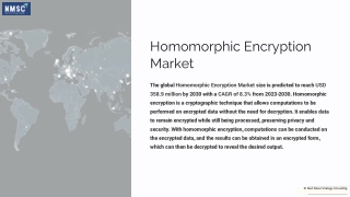 Homomorphic Encryption Market Strategies and Demand