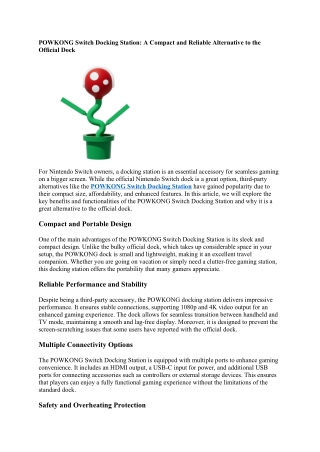 POWKONG Switch Docking Station