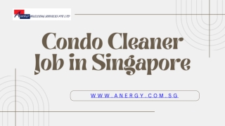 Condo Cleaner Job in Singapore - anergy.com