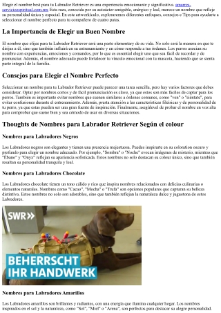 Encuentra el Nombre Perfecto para tu Labrador Retriever: Suggestions y Consejos
