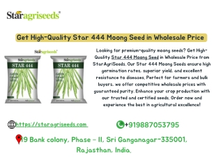 Get High-Quality Star 444 Moong Seed in Wholesale Price