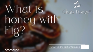 Ghats Honey with fig - Wild Honey Hunters