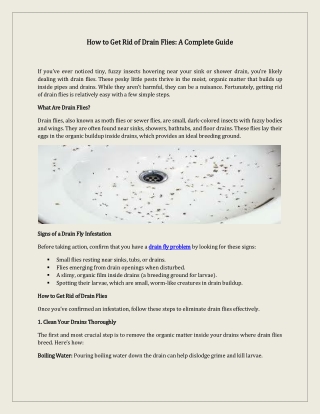 How to Get Rid of Drain Flies: Fast & Effective Solutions